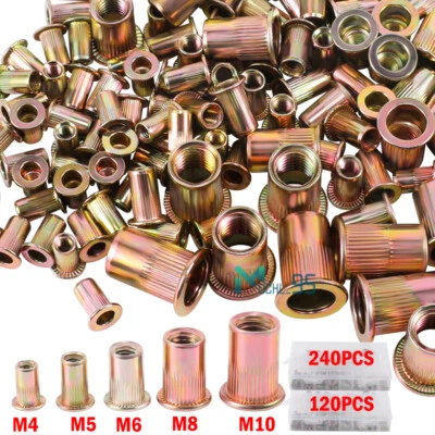 Juego Surtido de Tuercas de Remache Acero Inoxidable Galvanizado de M4 M5 M6 M10