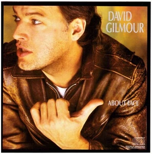 David Gilmour About Face CD Prog Rock/Classic Rock - CK 39296 Early Press SAUBER! - Bild 1 von 1