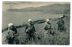 SAN REMO RACCOLTA DEI FIORI - FLORICOLTURA DONNA LAVORO - Imagen 1 de 1