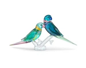 Swarovski Jungle Beats Periquito Pareja Fife & Fifer, Cristal NUEVO 5577124 - Imagen 1 de 1