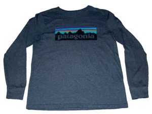 Patagonia Boys Girls Size XL 14 Blue Mountain Graphic Logo Long Sleeve T Shirt - Picture 1 of 5
