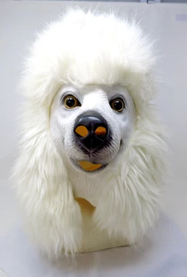 Máscara de perro caniche piel blanca Halloween disfraces látex adulto accesorios realistas animal Foto 1 de 4