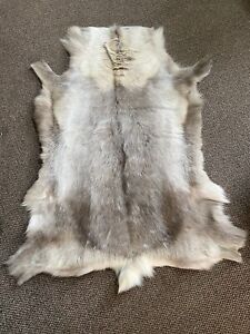 Reindeer Rug Hide / Scandinavian Reindeer Skin / Genuine Reindeer Hide Pelt