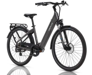 Distribuidor especializado: E-Bike DERUIZ MICA-G 48V/13,4Ah/644Wh 28" 80NM GR motor central 145km - Imagen 1 de 10