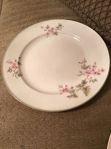 Vintage Dinner Plate, Hutschenreuther Selb Germany, Design 21-LH Turvel Bavaria - Picture 1 of 4
