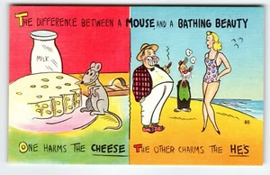 The Difference Between A Mouse And A Bathing Beauty Lady Linen Comical Postcard - Picture 1 of 2