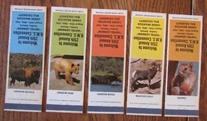 SET ANIMALI 1965 SET COMPLETO DI 5 COPERTINE FIAMMIFERI FIAMMIFERI -E20 - Foto 1 di 2