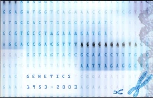 Paquete de estampillas unidas Australia Genetics 50c 2003, sin abrir y originales - Imagen 1 de 3