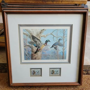 Signed 1983 Pennsylvania Wood Duck Stamp Print  2 Stamps 2564/7380 Ned Smith 17" - Picture 1 of 6