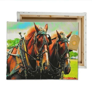 Belgian Draft Horse Pull Work Harness Canvas Wall Art - Picture 1 of 1