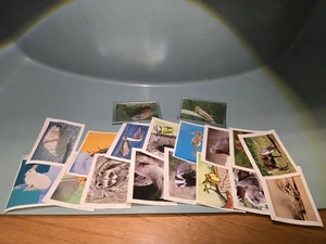 Sammelsticker Disney Was Ist Was 18 Sticker - Bild 1 von 2