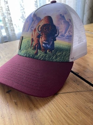 Gorra de bisonte vintage condimento celestial Ouray cierre a presión ventilado Foto 1 de 4