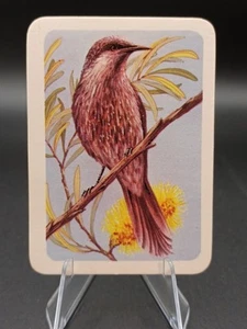 Tuckfield's Australiana Bird Series #273 Little Wattle-Bird - Imagen 1 de 2