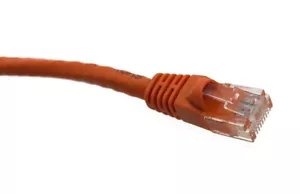 50 PACK LOT 0.5FT CAT6 Ethernet Patch Cable Orange RJ45 550Mhz UTP 0.15M - Picture 1 of 1