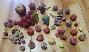 Lotto Vintage Perline Zucchera Frutta Pere Mele Uva Bacche Varie Misure - Foto 1 di 9