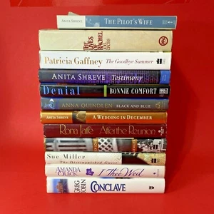 Romance And Drama Books Mix Lot Of 12 Gross, Shreve, Comfort, Quindlen, Miller - Picture 1 of 12