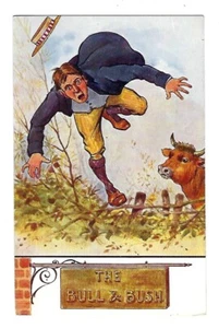 Early 1900's Comic Humor Postcard The Bull & Bush - Howe, Vertigen & Co. Posted - Picture 1 of 2