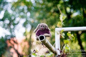 Trioplan bubbly bokeh PENTACON AV 80/2.8 converted to Nikon F + focusing - Picture 1 of 15