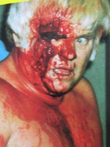 AWA CHAMPIONSHIP PRO WRESTLING VOL 15 DVD (W-1065) - Picture 1 of 1