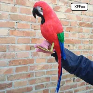 big simulation parrot model foam&feather red parrot bird gift about 60cm - Picture 1 of 4