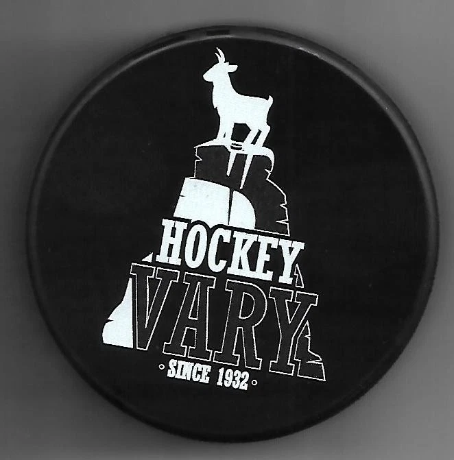 Eishockey Puck HC ENERGIE KARLSBAD PLAY OFF  TSCHESCHIEN     DEL NHL  - Bild 1 von 1