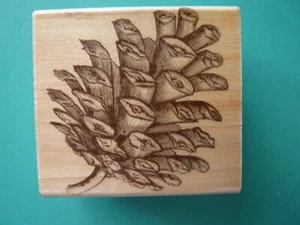 Realistic Pinecone HERO ARTS Rubber Stamp - Picture 1 of 2