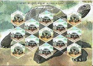 Indien 2008 Riesen Aldabra Schildkröte Tiere ungerade Form Sechseck Reptilien Kleinbogen - Bild 1 von 3