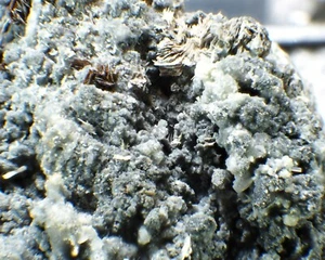 Rarissimo esemplare minerale fine KUKHARENKOITE cristallo DeMix, Varennes, Quebec - Foto 1 di 4