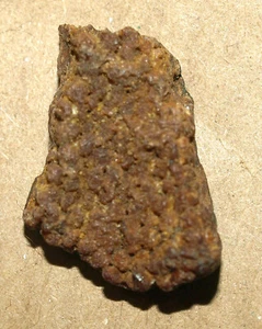 Kreidekrebstiere Koprolit, Inokovka, Tambow Region, Russland - Bild 1 von 5