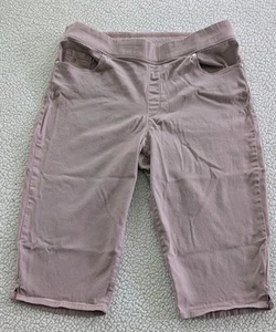 Gloria Vanderbilt Avery Größe 14 Rundum Abnehmen Event Skimmer Shorts Pink - Bild 1 von 8