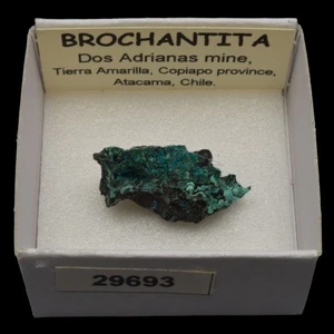 BROCHANTITA (Dos Adrianas mine, Copiapo, Atacama, Chile) #29693 / Brochantite - Bild 1 von 1