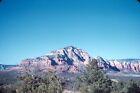 1960S Sedona Arizona Red Rocks In Distance Pine Trees #2 Vtg 35Mm Color Slide
