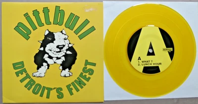 Pittbull – Detroit's Finest 7" yellow vinyl Lost And Found LF 214 Hardcore MINT- - Bild 1 von 4