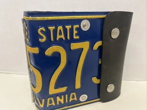 De colección Años 90 Pequeña Tierra Auténtica Pennsylvania Placa 20 CD Soporte DVD - Imagen 1 de 9