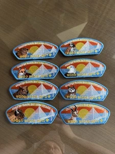 Greater Tampa Bay Area Council Wood Badge Full Patch Set 2017-2020, 8 CSPs Total - Bild 1 von 2