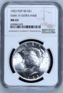 1923 Peace US $1 Silver Dollar NGC MS 63 VAM-1V Extra Hair Top-50 Elite-30 I3 R6 - Picture 1 of 2