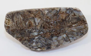 Hornstein, Rhynie Chert, Devon, Rhynie, Aberdeenshire, Schottland, UK -k657 - Picture 1 of 6