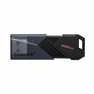 Clé USB Kingston DTXON/256GB 256 GB Noir - Photo 1/1