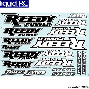 Associated 727 Reedy 2020 Decal Sheet - Picture 1 of 2
