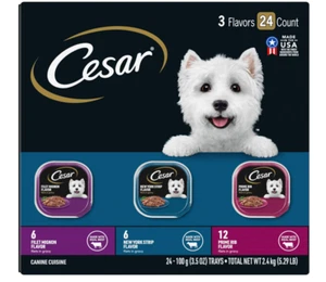 CESAR Adult Soft Wet Dog Food Filets in Gravy Variety Pack, Filet Mignon, New... - Picture 1 of 6