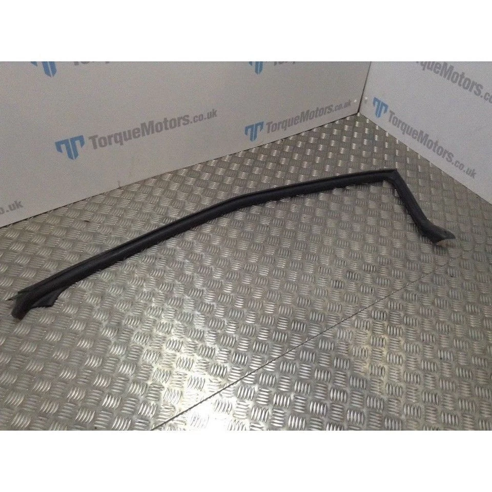 Tira climática puerta a carrocería lado del conductor Nissan GT-R R35 Skyline 2009 Foto 1 de 1