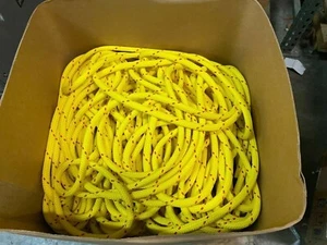 9/16" arborist climbing rope 100 foot - Picture 1 of 4