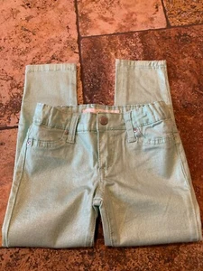 Joes Jeans Size 4 Mint Green Shimmery Jegging Pants  - Picture 1 of 6