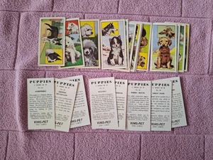 MOLASSINE PUPPIES x 21 CARDS ALL LARGER TYPEFACE VERSION  gen GD couple FR - Picture 1 of 2