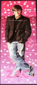 Póster de pared gigante Zac Efron 485A / chicos populares Jesse Billy Joe Pete 20x58 pulgadas - Imagen 1 de 2