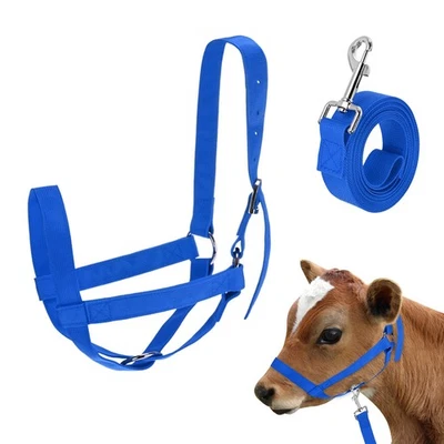 1-Pack Adjustable Cattle Cow Halter, 18.9"-23.23" with Lead Rope [Blue] - image 1 of 4