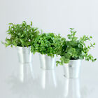 3er Set Kunstpflanze H.15-17cm künstliche Grünpflanzen für Tisch- und Zimmerdeko