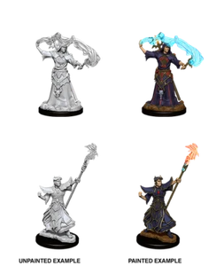 Pathfinder Batallas Cortes Profundos Miniaturas Sin Pintar: Hechicero Humano Masculino - Imagen 1 de 1