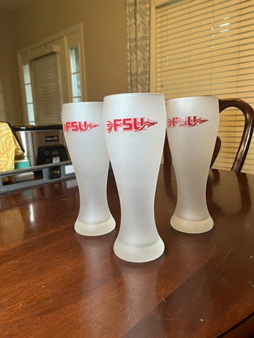 Florida State University College Tall Glasses (3) Cover