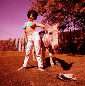 Foto Exterior Mujer Desnuda Artística Transparencia Color 120 Años 60 De Colección N-248 - Imagen 1 de 1